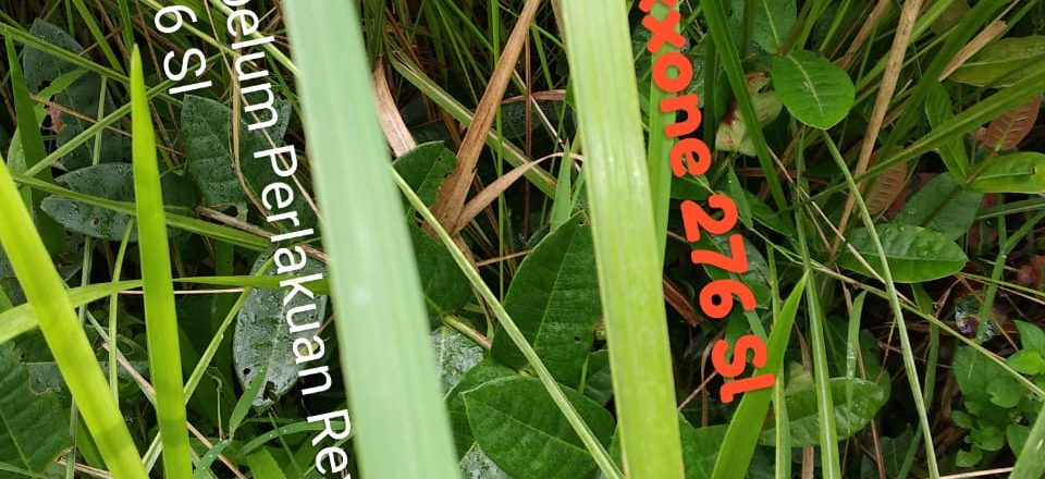 WhatsApp Image 2019-03-24 at 10.35.41 AM