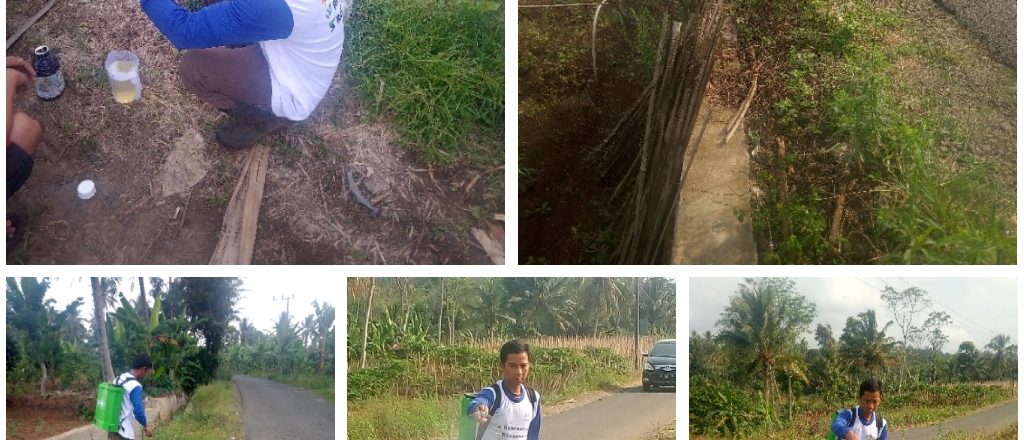 WhatsApp Image 2019-07-11 at 9.38.10 AM