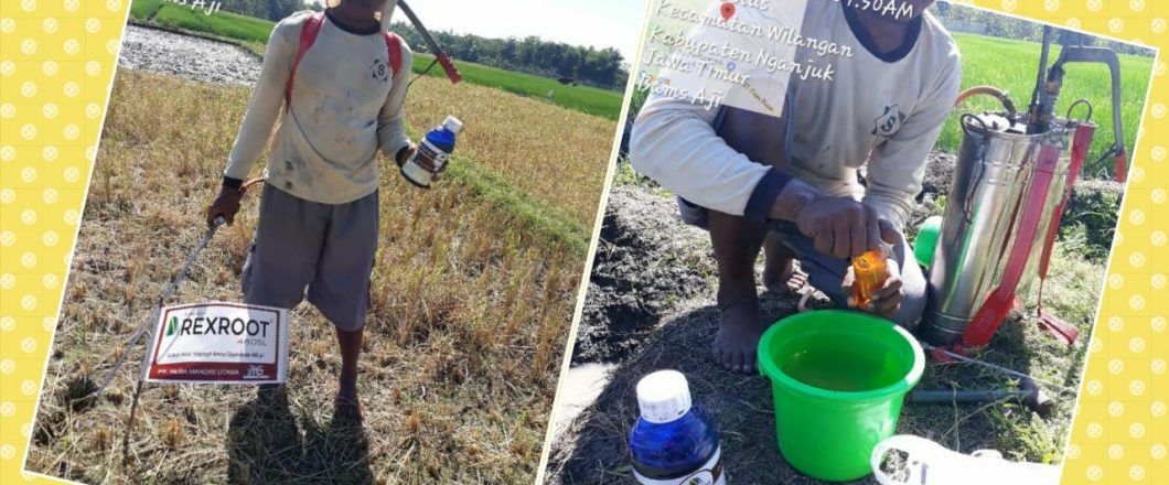 WhatsApp Image 2019-07-14 at 12.38.57 PM